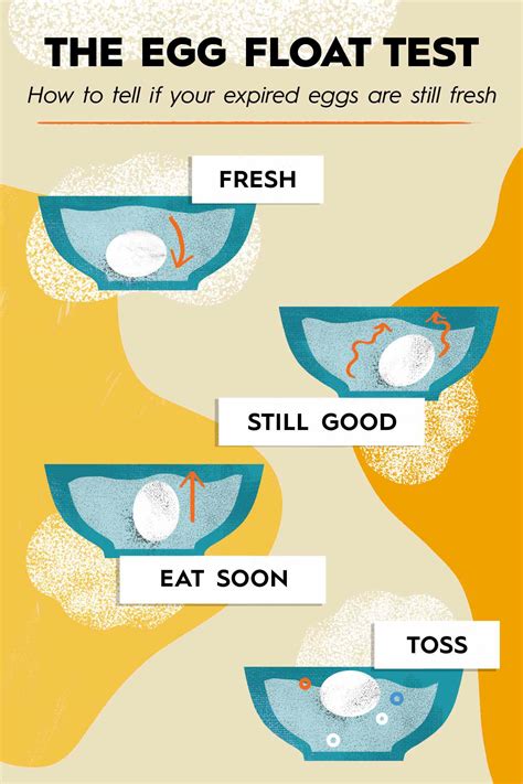 how to test eggs for freshness